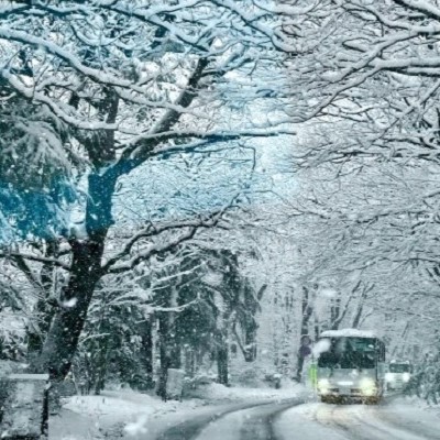 雪道