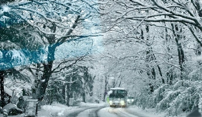 雪道