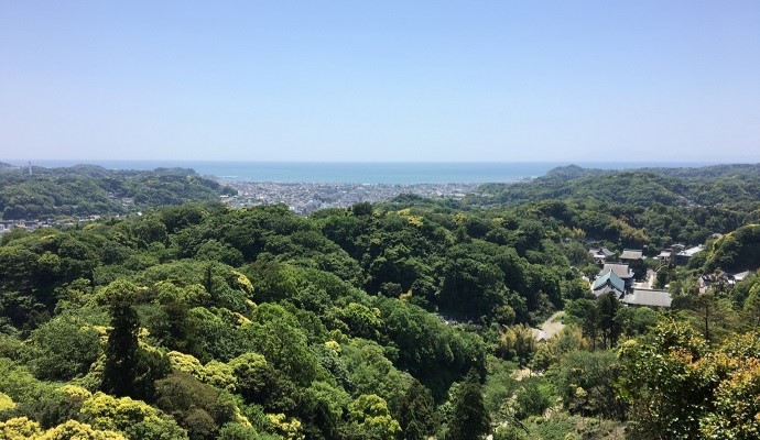狭い道